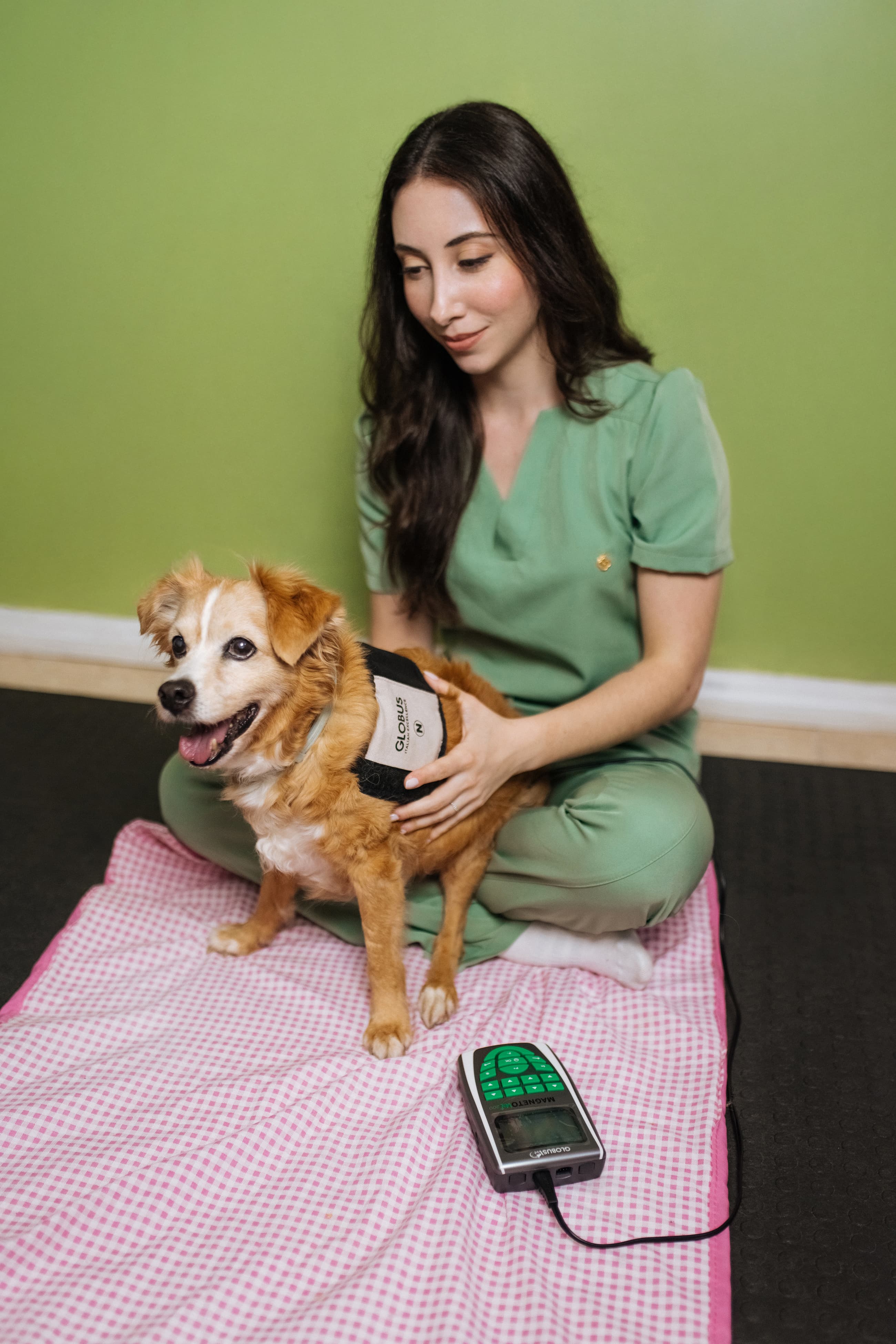Magnetoterapia